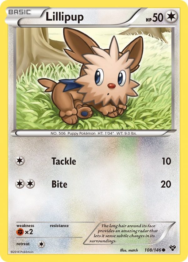 Lillipup - 108 - XY