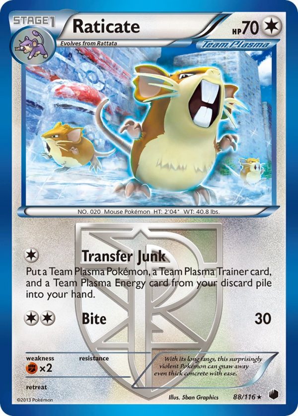 Raticate - 88 - Plasma Freeze|Raticate - 88 - reverse holo - Plasma Freeze