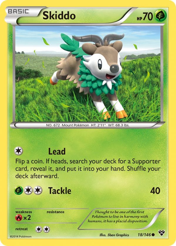 Skiddo - 18 - XY